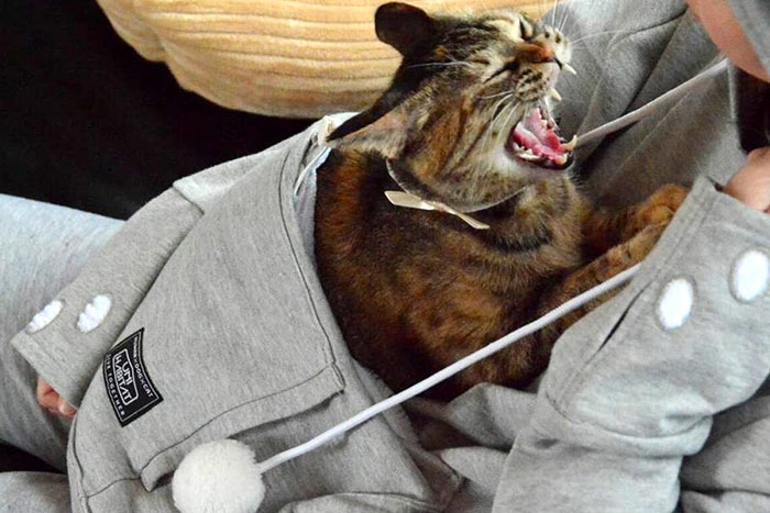 Cat Hoodie with comfy Pouch 