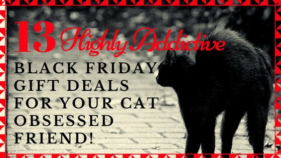 BLACK FRIDAY GIFT DEALS FOR YOUR CAT OBSESSED FRIEND