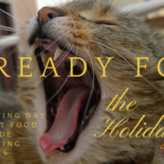 Get the Thanksgiving Day Dinner Cat Food & Thanksgiving Day Dinner Cat Food & Homemade Thanksgiving Cat Recipes - Get Your Recipes here: https://www.harperstribune.com/ 🚨 Attention Holiday & Cat Lovers! Ready for the Season...? 🚨 We are! 🦃🦃🦃 Unbelievably Cute Thanksgiving Turkey Kitten🐾🐾🐾 Watch this video cauze it will help you connect with your family and play with your cats 🐱 n'kids 🍬 again! Don't believe!...watch to the end... comment, share & tag your cat friends 🐱 & family ❤️ ❤️ ❤️ 👪who might like this, too! source: YT channel: POUSSY #ThanksgivingDay #Turkey #ChristmasCountdown #BlackFriday #BlackFri And of course you can win lots of cool cat gadgets like accessories, clothes, shoes, boots and other cool cat gadgets during the Holiday Season! Win my beautiful cat gift box set! How? Comment below and tell us what's your favorite scene in the clip and why...Leave your comment plus your email or social platform contact so we can contact you easily in order to get your real shipping address and deliver your gift! Love, Poussy, AKA the Happy Thanksgiving Turkey Cat:)