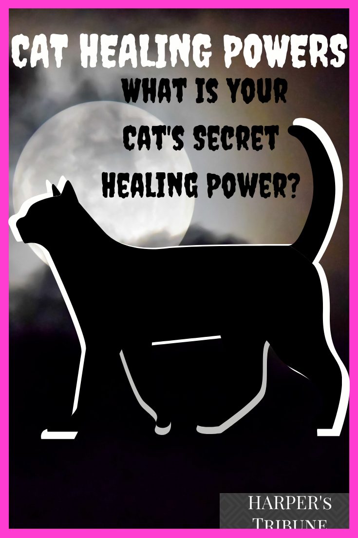 Cat Healing Powers